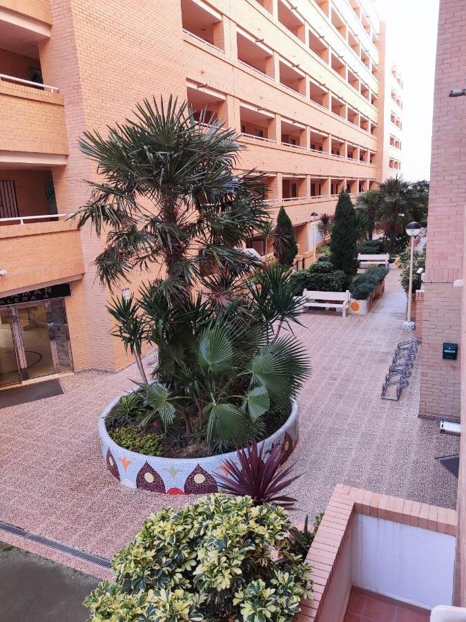 Apartamento Acogedor En Cabanes, Torre La Sal, Costamar I Marina D'Or Venta de San Antonio-Estacion Zewnętrze zdjęcie